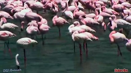 미니선물업체 KU15.CC - 동영상