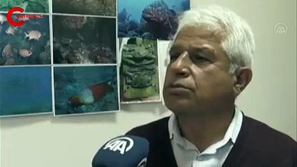 Türkiye kıyılarında ilk kez görüldü!