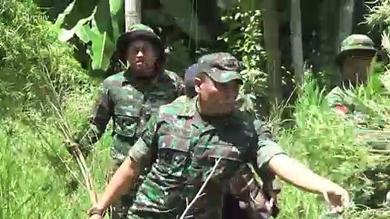 Cannabis-Kaffee – Indonesiens berauschende Röstmischung