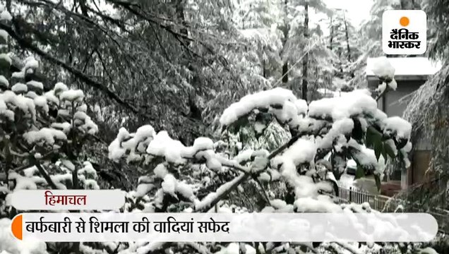 शिमला, चूड़धार, हरिपुरधार के ऊंचाई वाले इलाकों में बर्फबारी जारी, माइनस 6 डिग्री पहुंचा तापमान, बिजली भी गुल