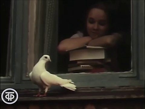 Наталья Гура - Вокализ (Вадим Храпачёв)