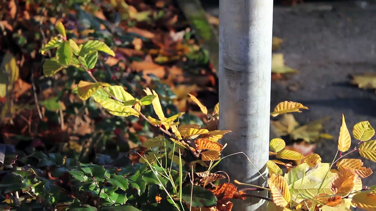 Spirit Sound Pinneberg 2013 Folge 10 /Full Film/Complete Movie/Ganzer Film