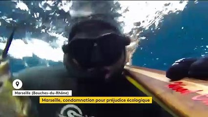 Marseille : des braconniers condamnés pour préjudice écologique