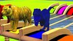 Learn Colors With Animal - Learn Wild Animals Swimming Race In Outdoor Playground For Kids - Color Animals Water Slide Cartoons