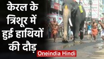 Kerala के त्रिशूर के गुरुवयुर Temple में वार्षिक हाथी दौड़ | वनइंडिया हिंदी
