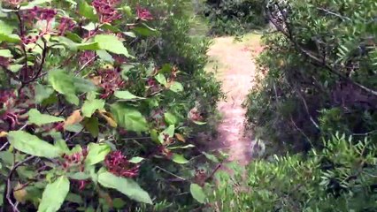 (Bonus 10) ~ Les manipulations du 'Diable' (1-4)