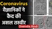 Coronavirus: Scientists ने कोरोना वायरस की असल Picture की कैद | वनइंडिया हिंदी