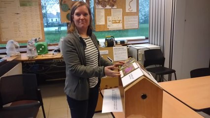 Tournaisis: le Parc naturel des Plaines de l'Escaut propose un parcours insolite parsemé d'énigmes