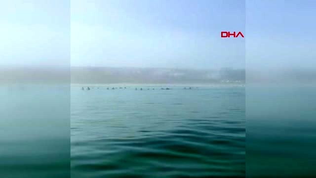 Spor türk kadın yüzücüden güney afrika'da büyük başarı