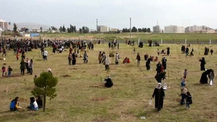 Nusaybin'de "Bir Dünya Kadın Hatıra Ormanı" oluşturuldu