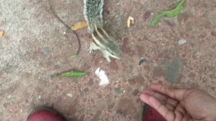 Qutub Minar || क़ुतुब मीनार || Vlog On || MGLifestyle