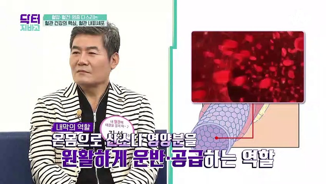▶혈관 내피세포의 기능 저하◀ 중증 혈관 질환까지 발생시킨다?