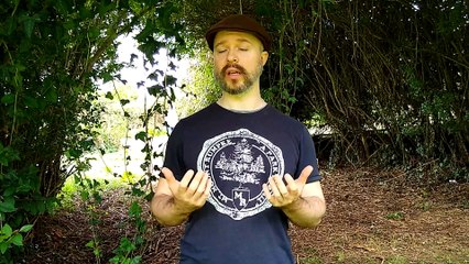 Ejercicio de Apoyo terapéutico