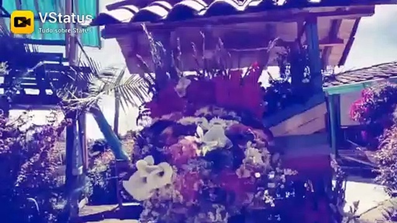 status para WhatsApp Medellín