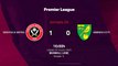 Resumen partido entre Sheffield United y Norwich City Jornada 29 Premier League