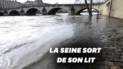 Les images de la crue de la Seine à Paris
