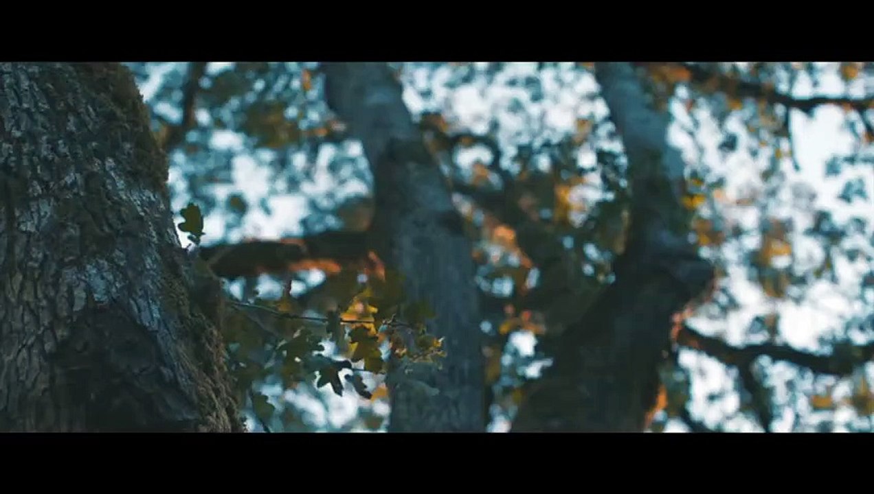 اخر الشعراء