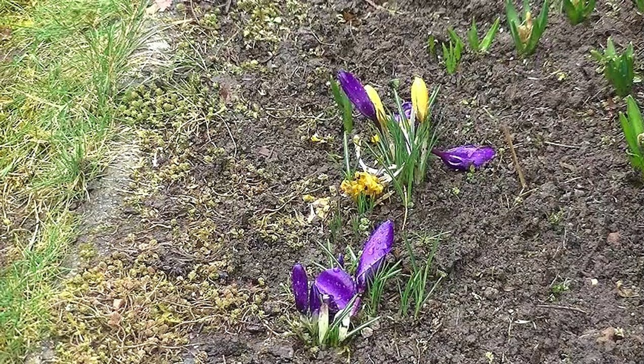 Grohbachtal im Regen