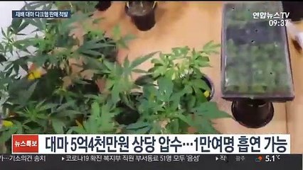 대마 불법재배 일당 적발…다크웹으로 판매