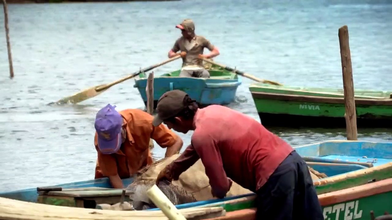 Experiment Sozialismus Film