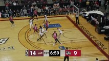 Sheldon Mac (19 points) Highlights vs. Erie BayHawks