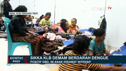 88 Anak Positif DBD, Pemkab Sikka Minta Bantuan Tambahan Alat Cek Darah