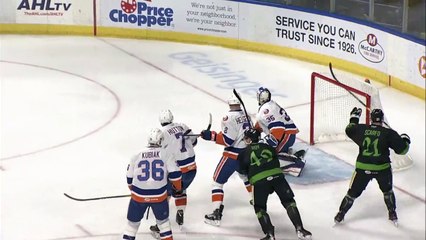 Wilkes-Barre/Scranton Penguins 5 - Bridgeport Sound Tigers 2