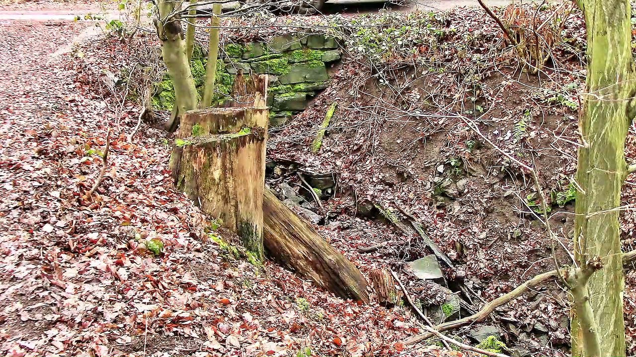 Auf großer Tour den Natursteig Sieg entlang 11 – 1