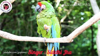 Chafa Bolena chafa chalena Cover version Siddhi Jha Marathi Song Movie Album Apli Awadti Bhavgeet