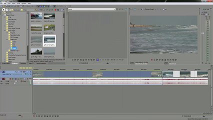 Vegas Pro 39 Track Motion and 3D Track Motion