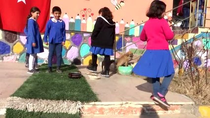 (ARŞİV) Sınıfın 39. öğrencisi "Fındık"