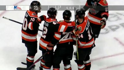 Game Recap - Indy Fuel at Fort Wayne Komets