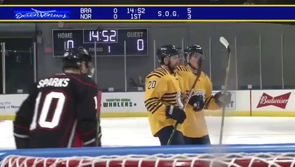 Game Recap - South Carolina Stingrays at Norfolk Admirals