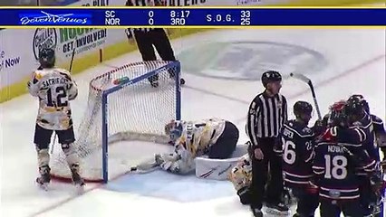 Game Recap - South Carolina Stingrays at Norfolk Admirals