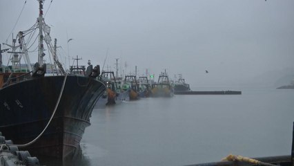 [날씨] 올 들어 가장 포근한 휴일...내일 밤부터 비 / YTN