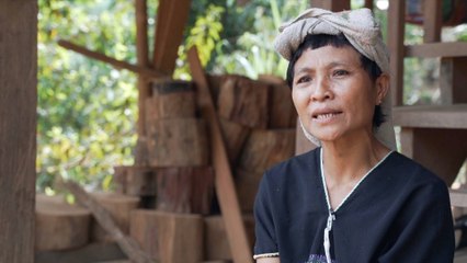 Myanmar: Karen minority demands protection in peace park