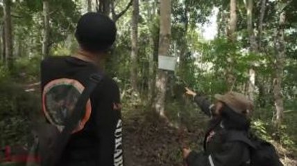 Perempuan di Sarang Owa Jawa (2)