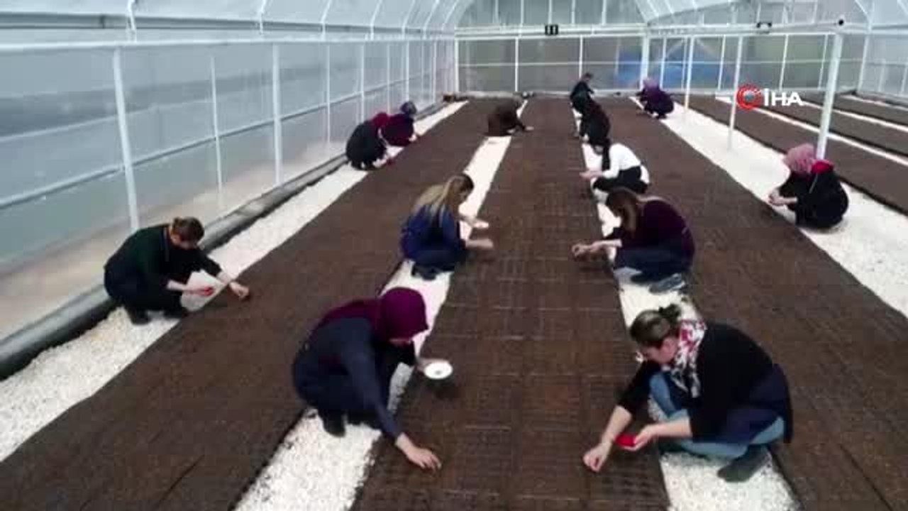 Kızıltepe'de kadınlar 8 Mart Dünya Kadınlar Günü'nde kooperatif kurdu