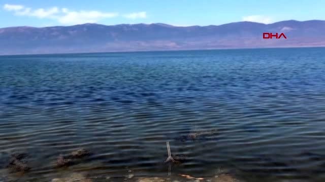 BURDUR Üniversitelilerden Burdur Gölü için farkındalık eylemi