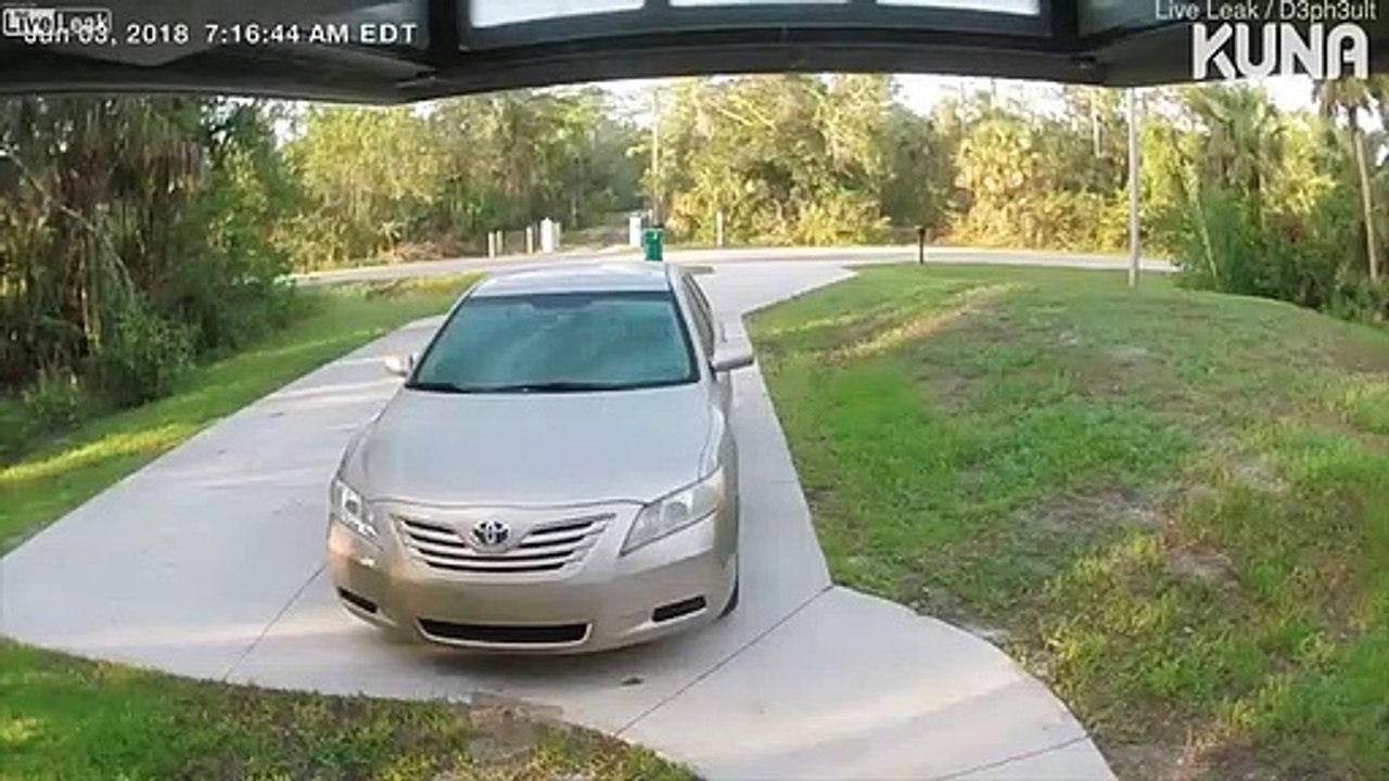 [CCTV tape] Keep your animals safe if you live here!