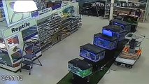 [CCTV tape] Turtle theft caught on camera