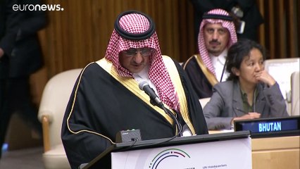 Mutismo absoluto en Arabia Saudí tras el arresto de dos príncipes "conspiradores"