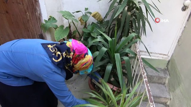 Görme engelli çift zorlukları el ele vererek aşıyor