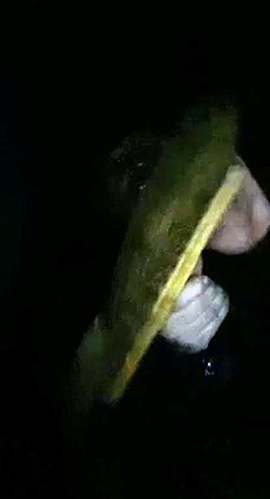 CHOC: Manuel Valls le chanteur à la brosse récidive et plagie Mr DIEUDONNE MBALA