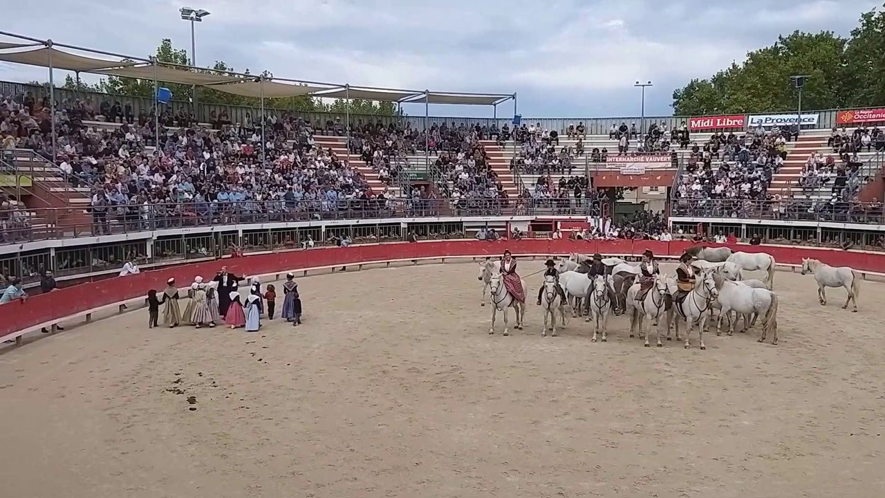 Vauvert : rencontre avec Régine Pascal qui chante la Camargue