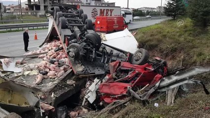 Anadolu Otoyolu'nda et yüklü tır su kanalına devrildi: 2 yaralı