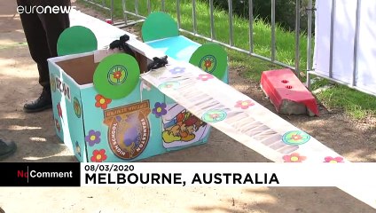 Repülő emberek versenye Ausztráliában