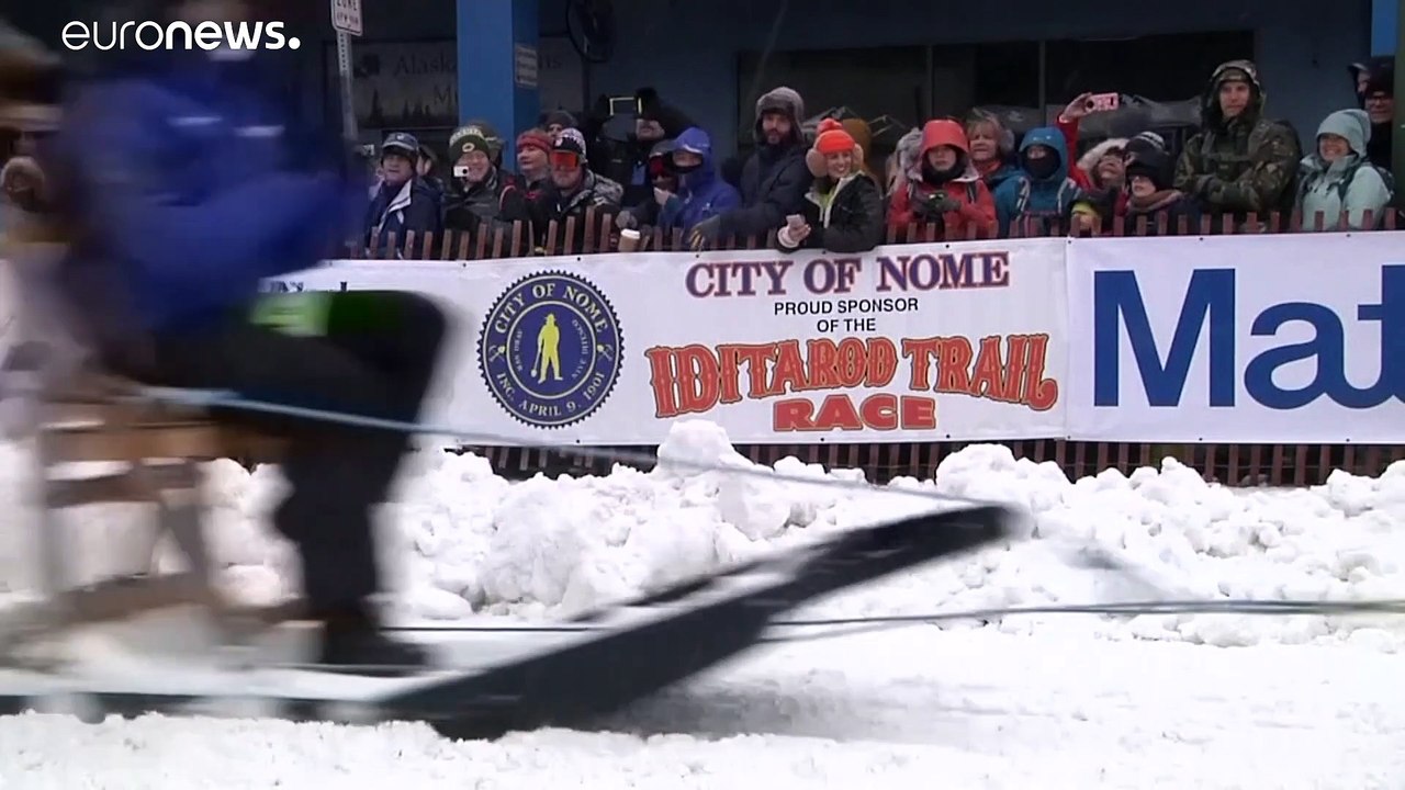 1600 km durch Alaska: Das längste Hundeschlittenrennen der Welt