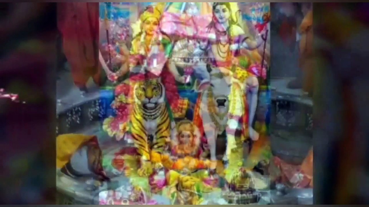 छिपकली का शरीर के किसी भी अंग या हिस्से पर गिरने के बाद करें ये सटीक उपाए मिलेगी दोष से मुक्ति ?/After falling the lizard on any part or part of the body, do these exact measures will get rid of the defect?