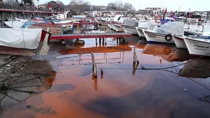 Tekirdağ sahilinde plankton çoğalması deniz suyunu turuncuya dönüştürdü